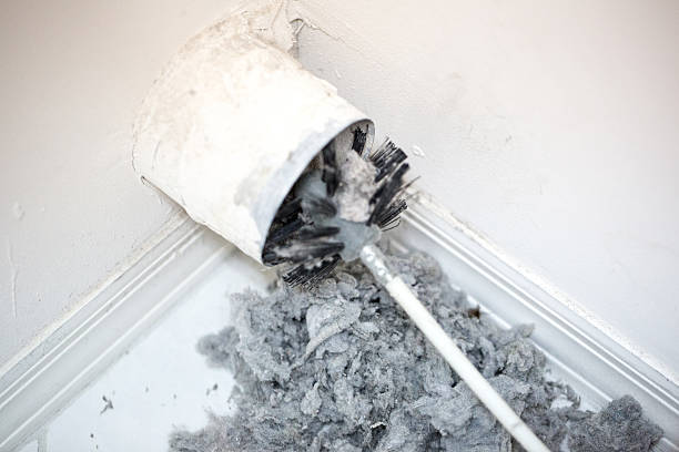 Best Best Air Duct Cleaning Near Me  in Warren, MN